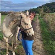 Donne cours pour apprendre ses galops, ethologie et comportement equin